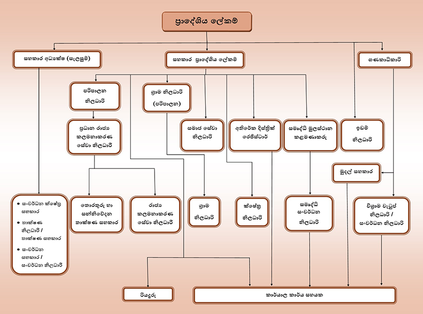 organization chart sin